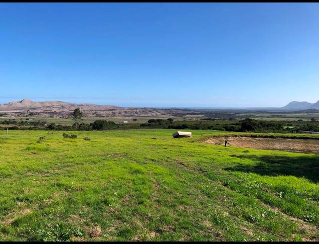 FARM FOR SALE IN BAARDSKEERDERSBOS